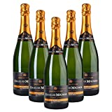 Champagner Premium Reserve Brut Premier Cru 75 cl - D.O. Frankreich - Bodegas Grupo Estevez (5 Flaschen)