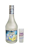 Vodka Melon 0,7Liter 16% vol. 12 Fl. mit 12 Gläser