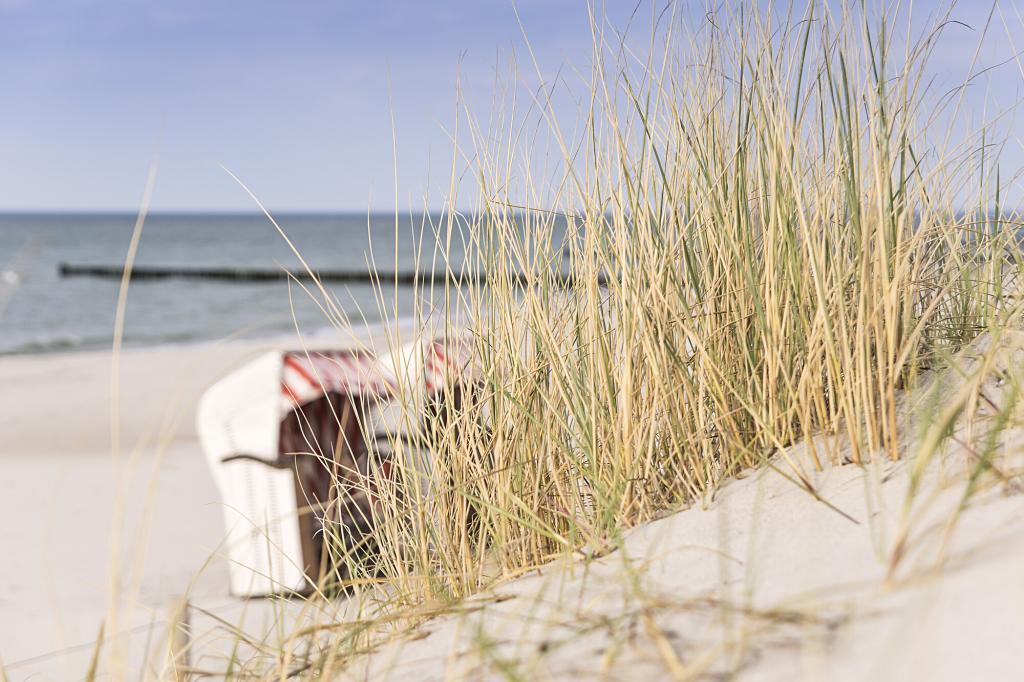 Luxus Strandkorb