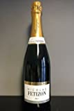 Brut Nicolas Fetizon, Champagne Brice (case of 6)